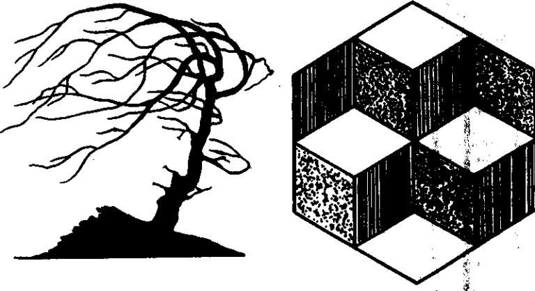 Пространственно подобная. Иллюзии фигуры и фона. Восприятие объекта. Иллюстрации иллюзий восприятия. Оптические иллюзии.